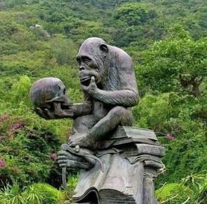 Meet your Posher, Bradley